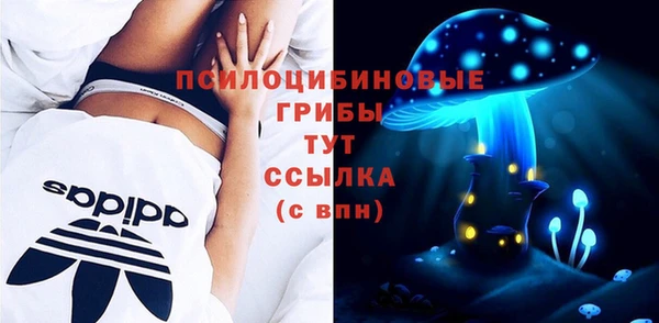 спайс Алексеевка