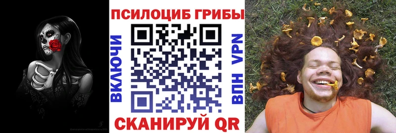 закладки  Ветлуга  Псилоцибиновые грибы MAGIC MUSHROOMS 